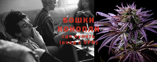 МДПВ Пестово