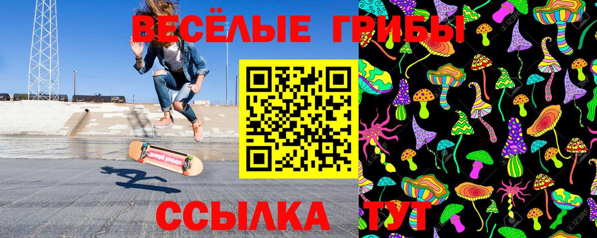 Галлюциногенные грибы ЛСД Унеча