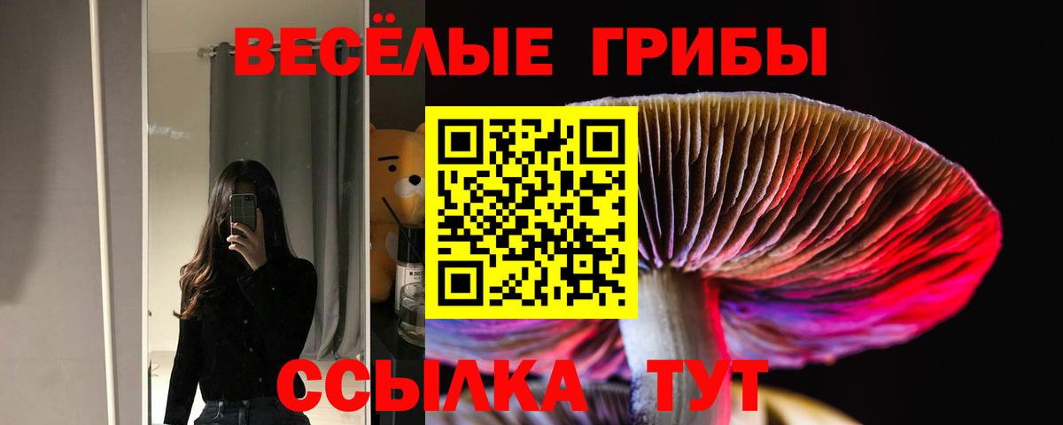 Псилоцибиновые грибы Psilocybe Унеча