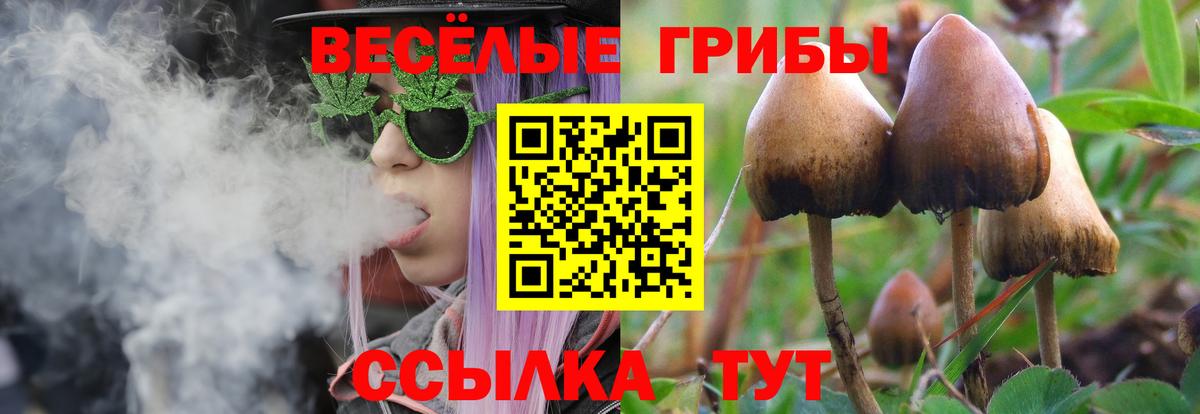 Псилоцибиновые грибы Psilocybe  Вход с VPN  Унеча 